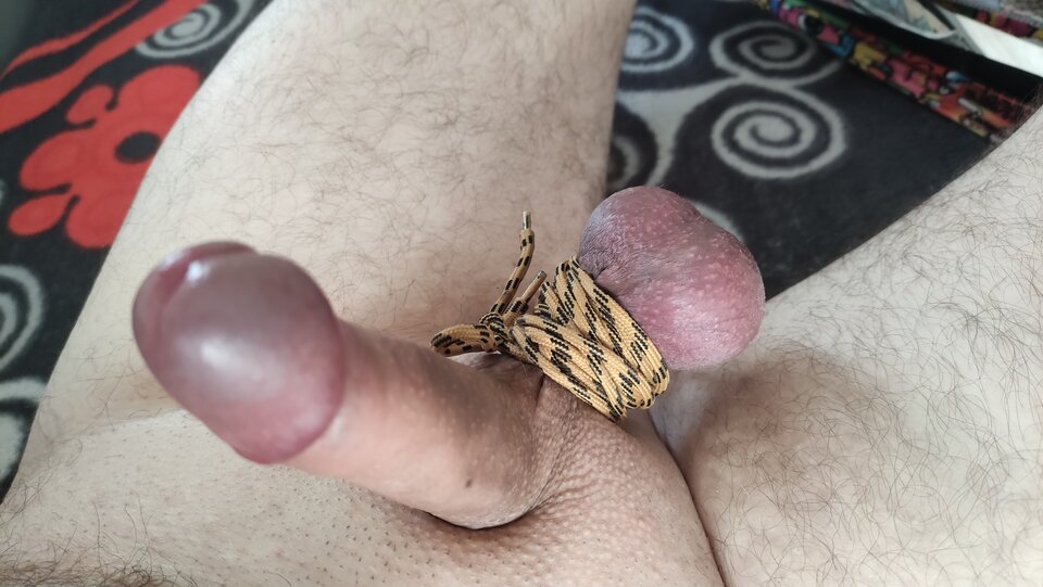 IMG_20250225_123035.jpg - Kriss7788