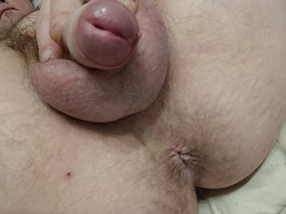 1740517091085..jpg - Niesmialy399