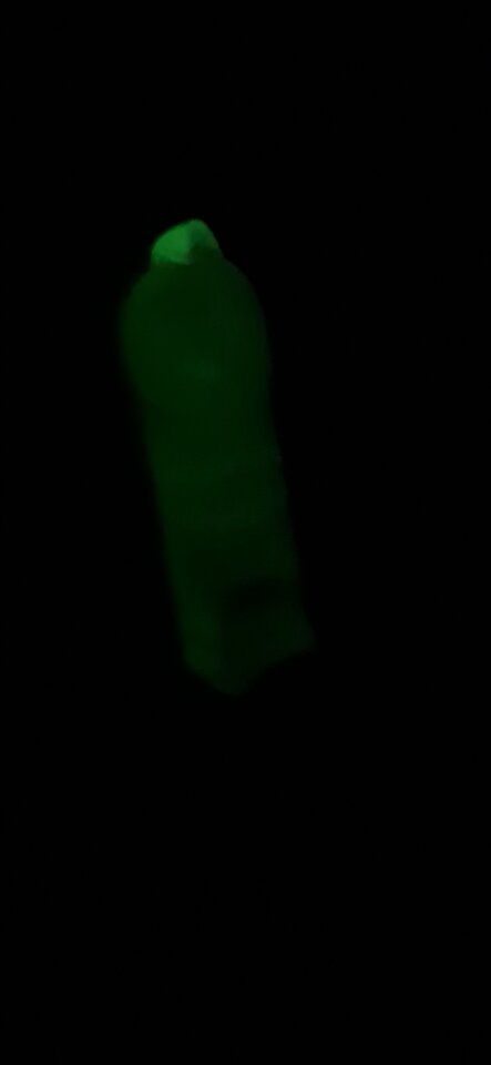 1000022452.jpg - Napalonymd1986