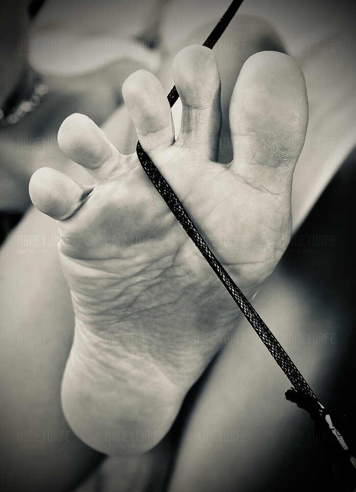 Honey Wife 231.jpeg - HoneyWife