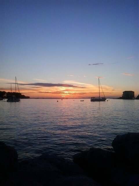 sc.jpg - Czarny_Motylek