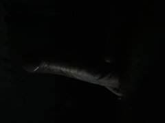 IMG_8844.jpeg