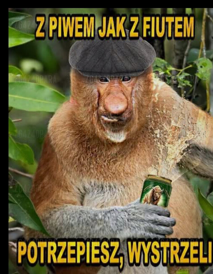 Jak z tym strzałem🤣🤣🤣 - Zg4240para