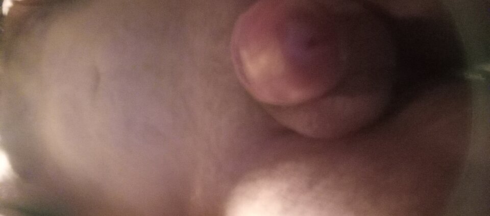 1000000930.jpg - Ralf466