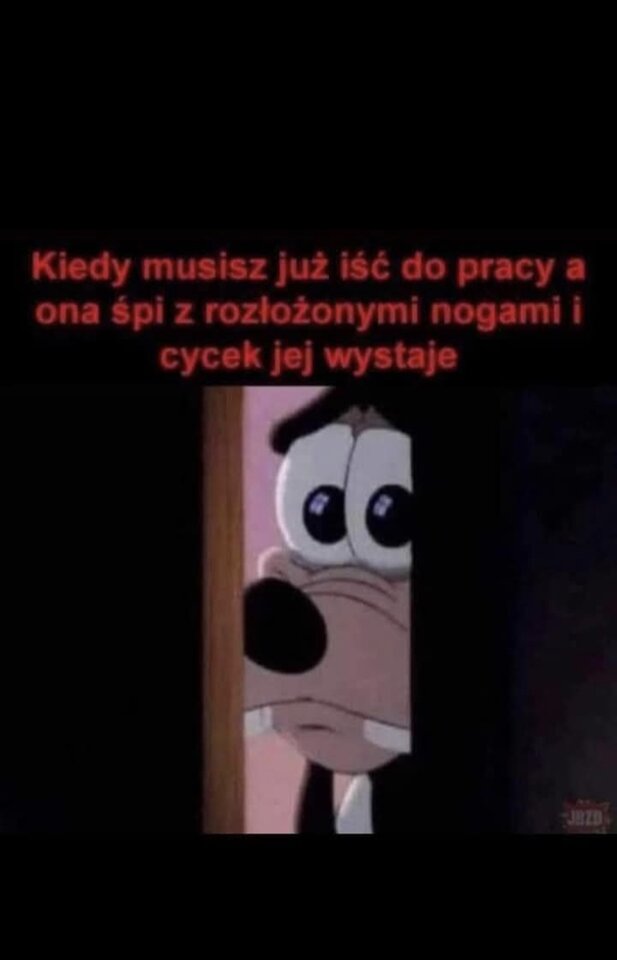 1000020168.jpg - Miniek234