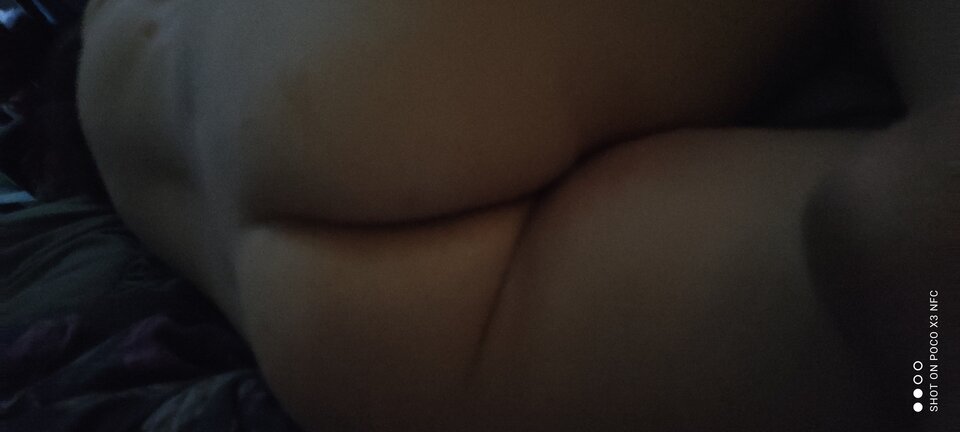 IMG_20250227_154825.jpg - panstwobloom