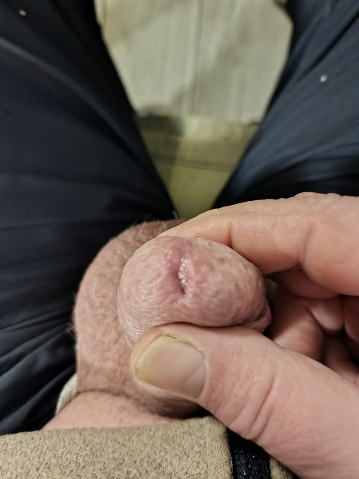 IMG_20250228_153534_803.jpg - robekBi