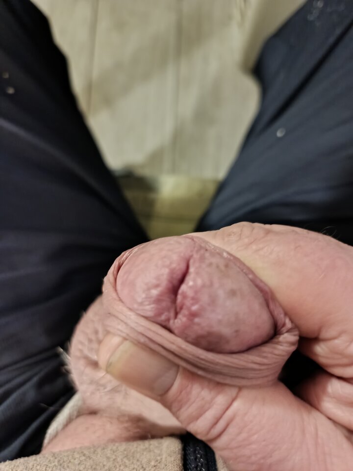 IMG_20250228_153839_641.jpg - robekBi