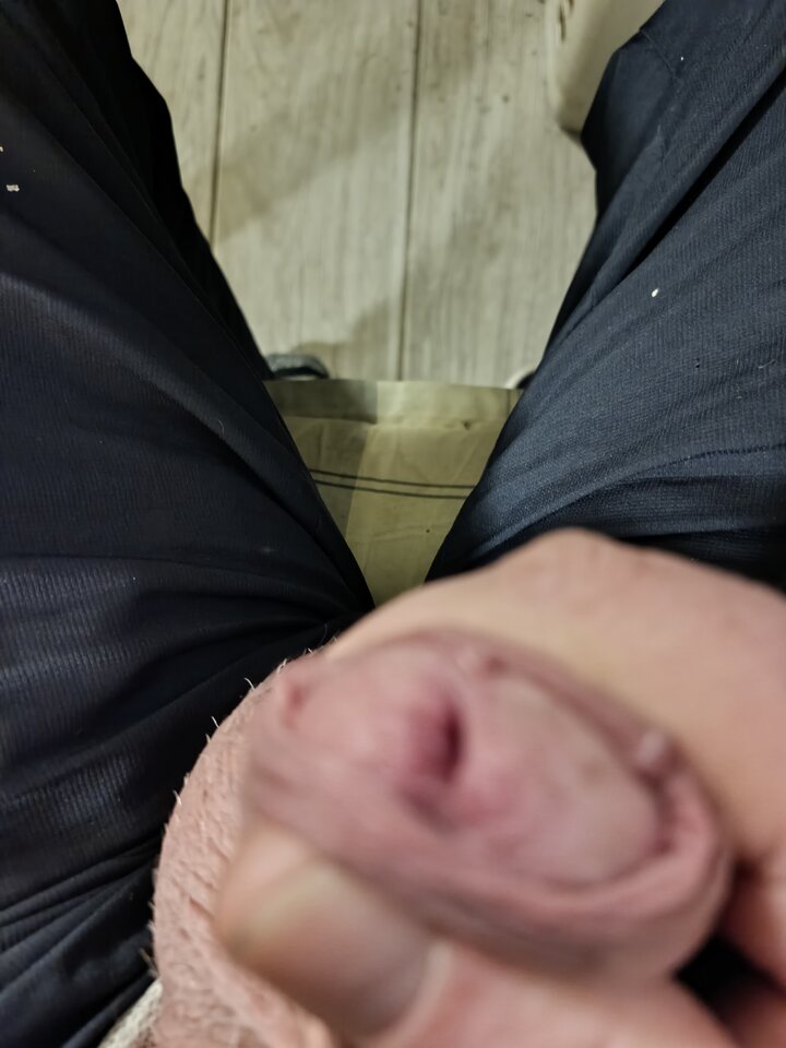 IMG_20250228_153754_851.jpg - robekBi