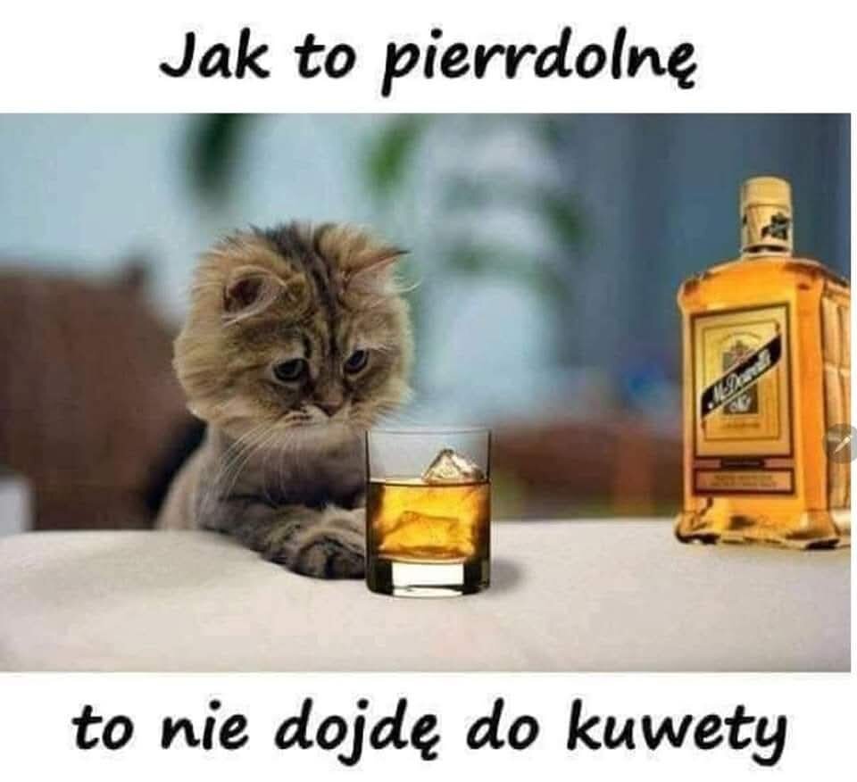 1000026106.jpg - szczepan1956