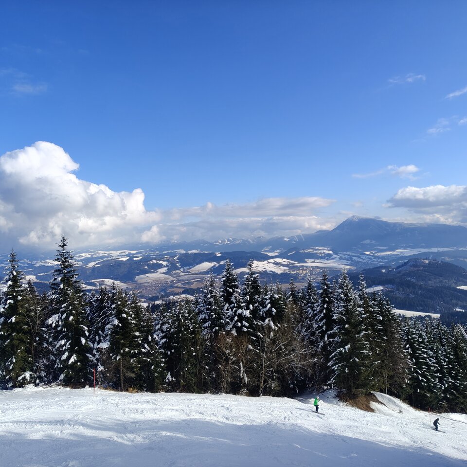 1000009168.jpg - Marcerllo