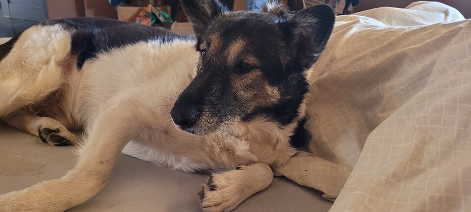 20250222_132931.jpg - NIEBYWALY1234