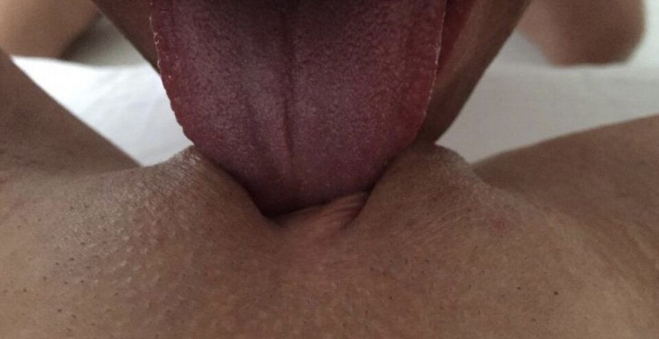 IMG_3544.jpeg - Alanik1999