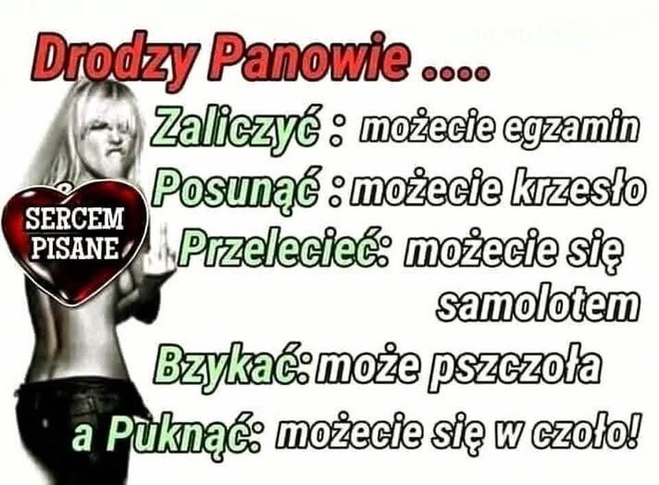 1000026490.jpg - Takaja60