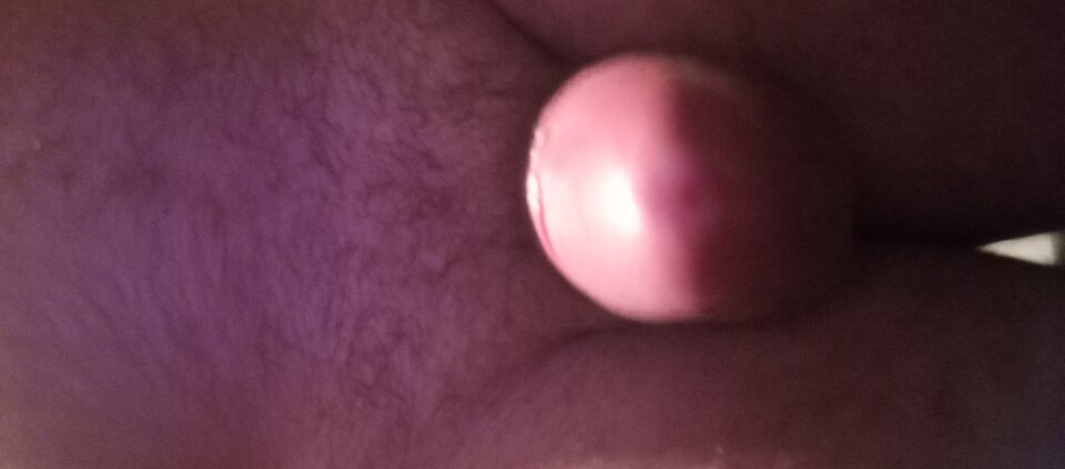 1000001009.jpg - Ralf466