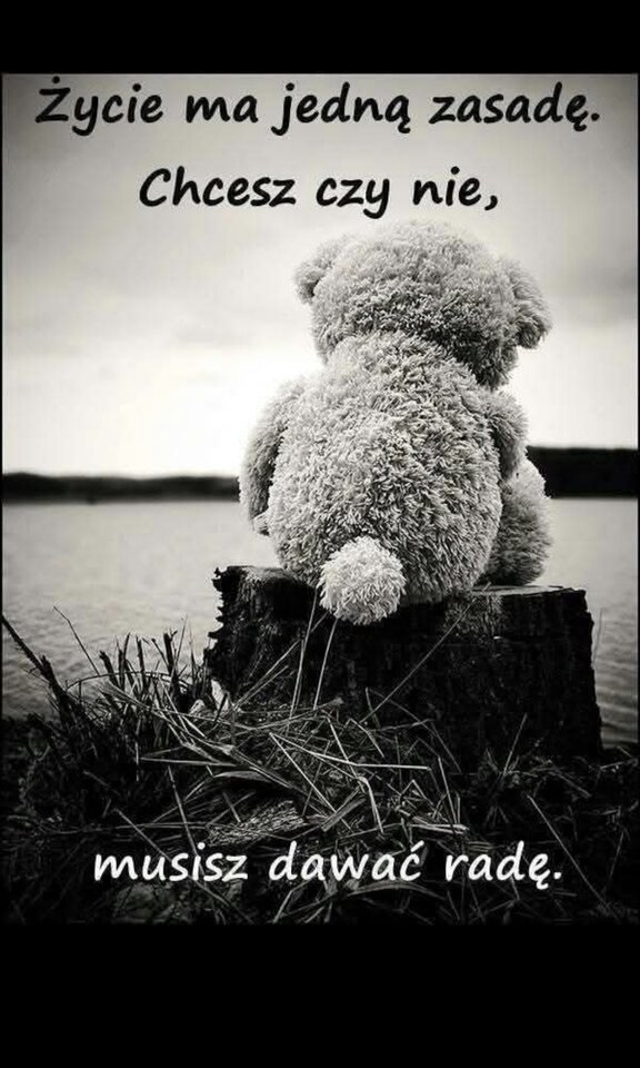 1000020330.jpg - Miniek234