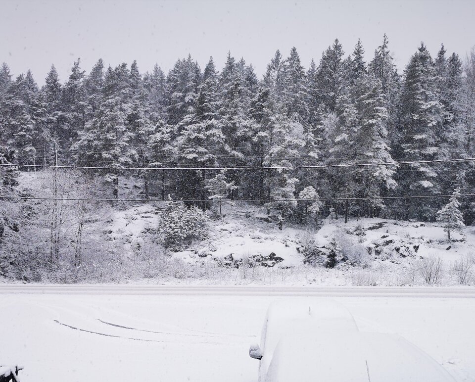 IMG_20210111_213556.jpg - Miniek234