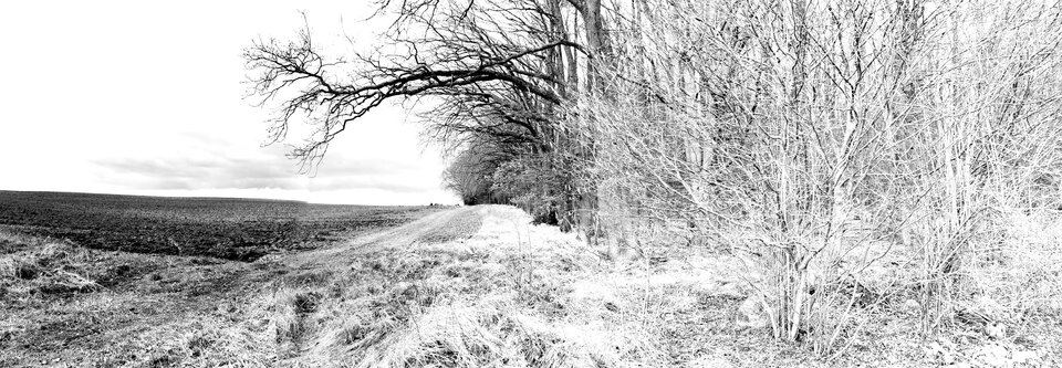 IMG_20200305_110048.jpg - Miniek234