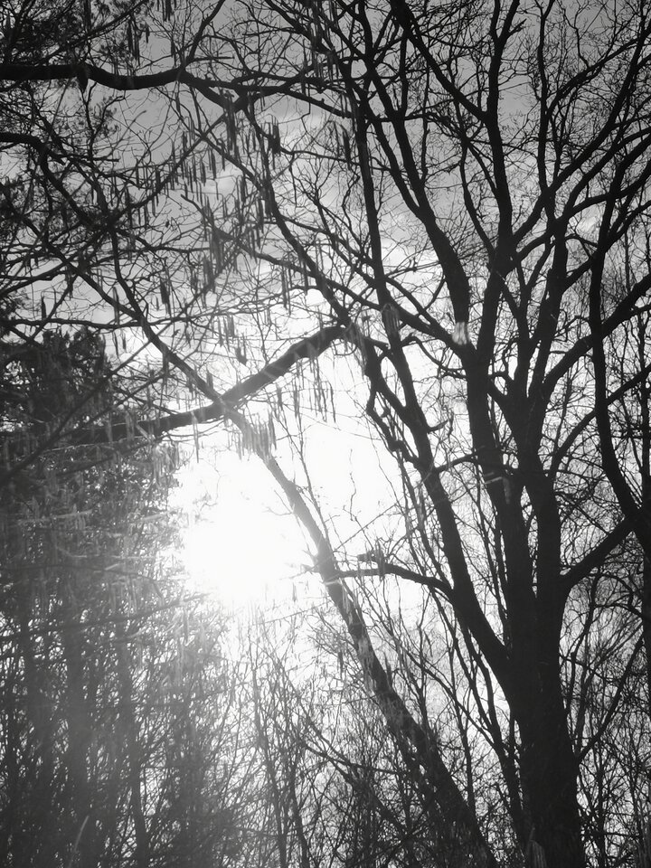 IMG_20200226_141007.jpg - Miniek234