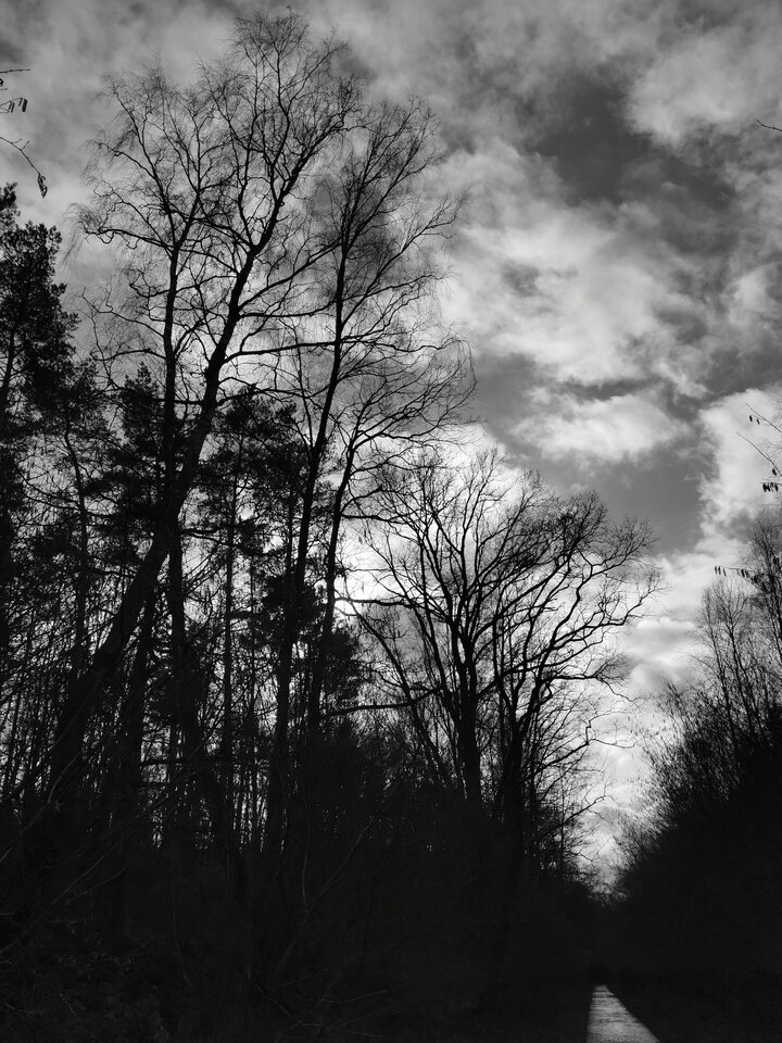 IMG_20200226_140908.jpg - Miniek234