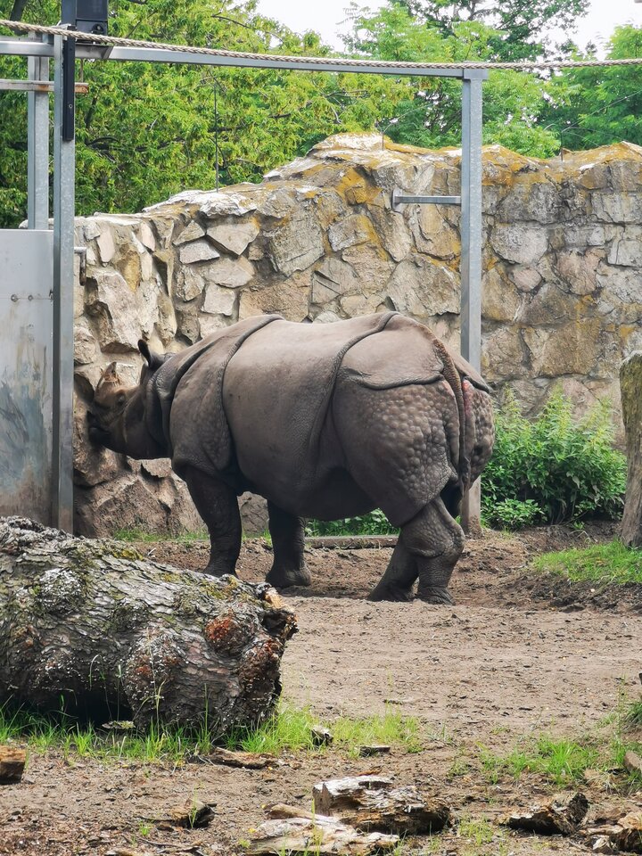 IMG_20200726_122847.jpg - Miniek234