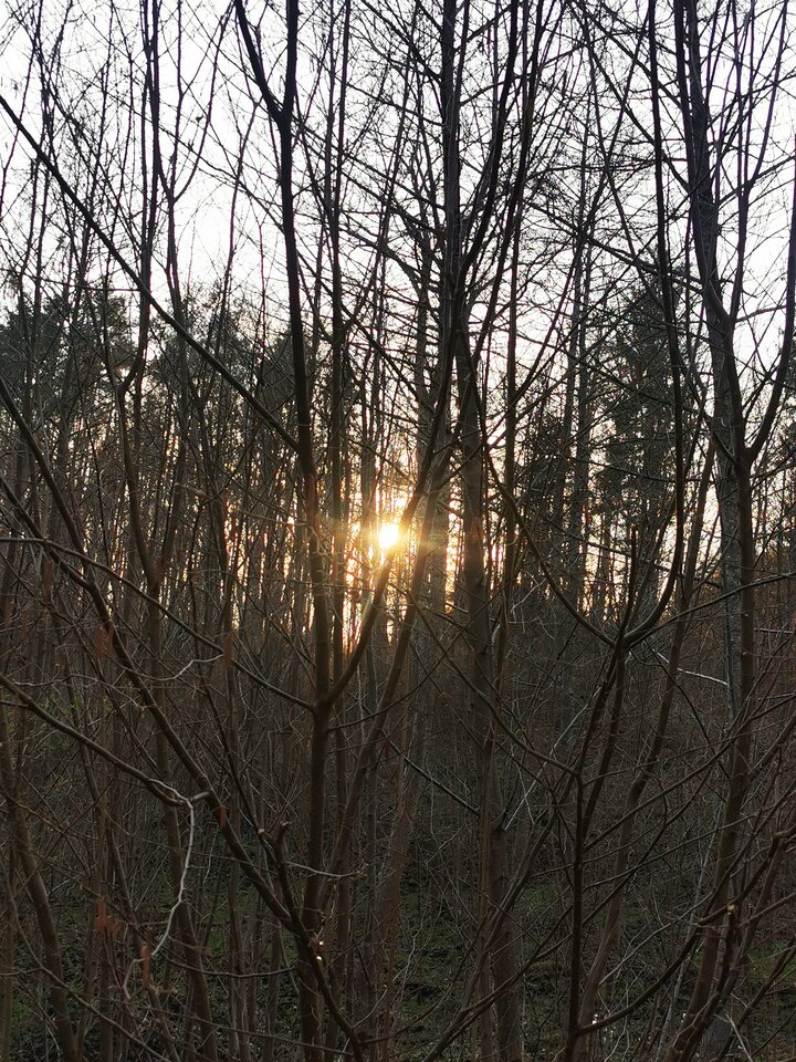 IMG_20210411_185248.jpg - Miniek234