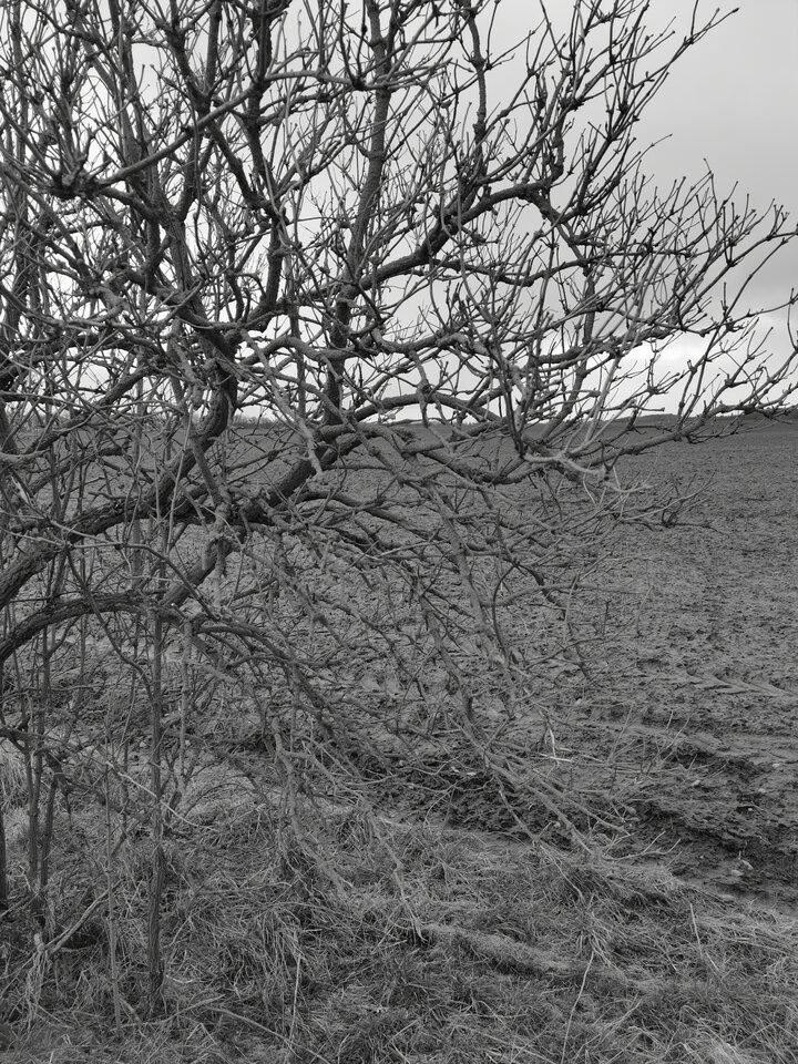 IMG_20200226_143854.jpg - Miniek234