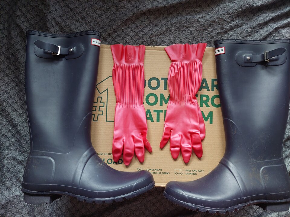 20250215_095639.jpg - Rubber_gloves
