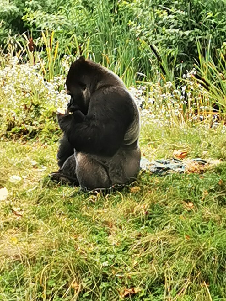 IMG_20210816_124942.jpg - Miniek234