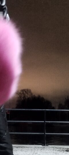 IMG_20250302_021932_TIMEBURST20.jpg