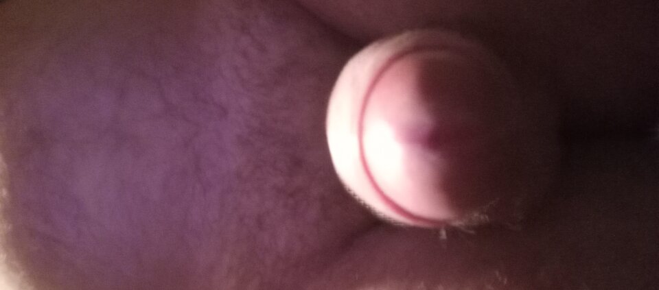 1000001026.jpg - Ralf466