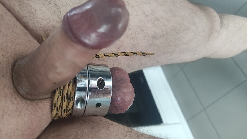 IMG_20250302_131002.jpg - Kriss7788