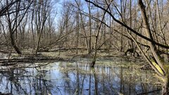 IMG_9814.jpeg