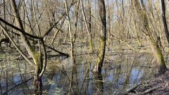 IMG_9815.jpeg