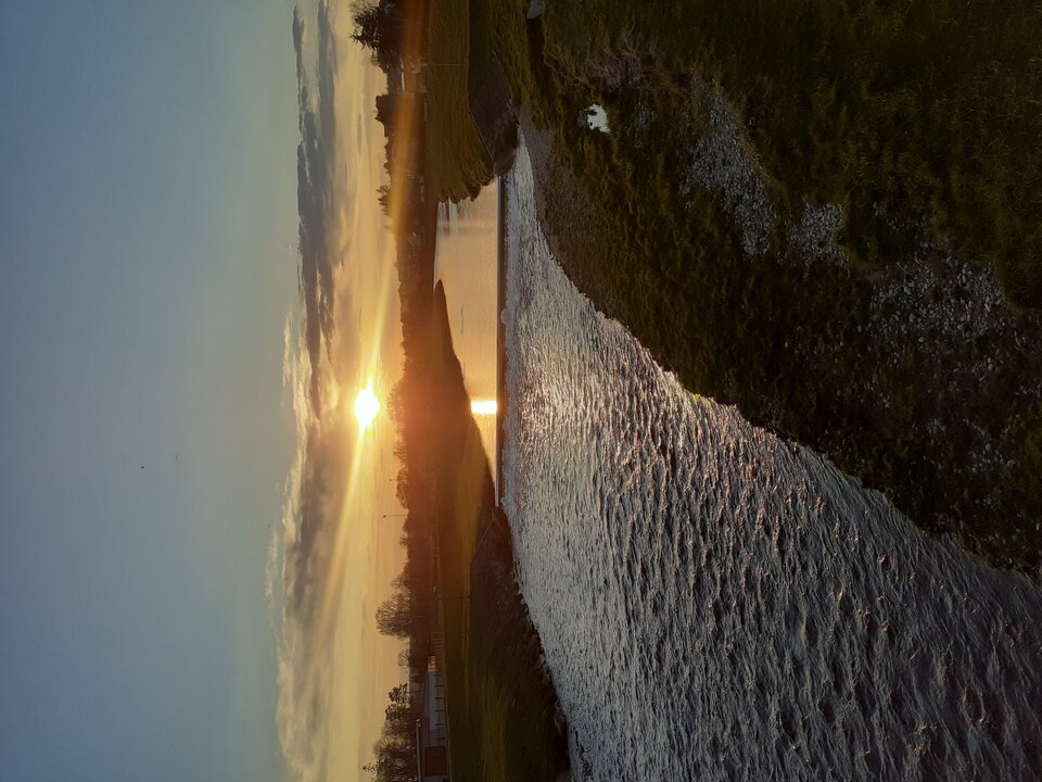 1000000330.jpg - Zywiecbeer