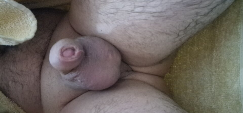 17409465572642462423038061279924.jpg - robin266