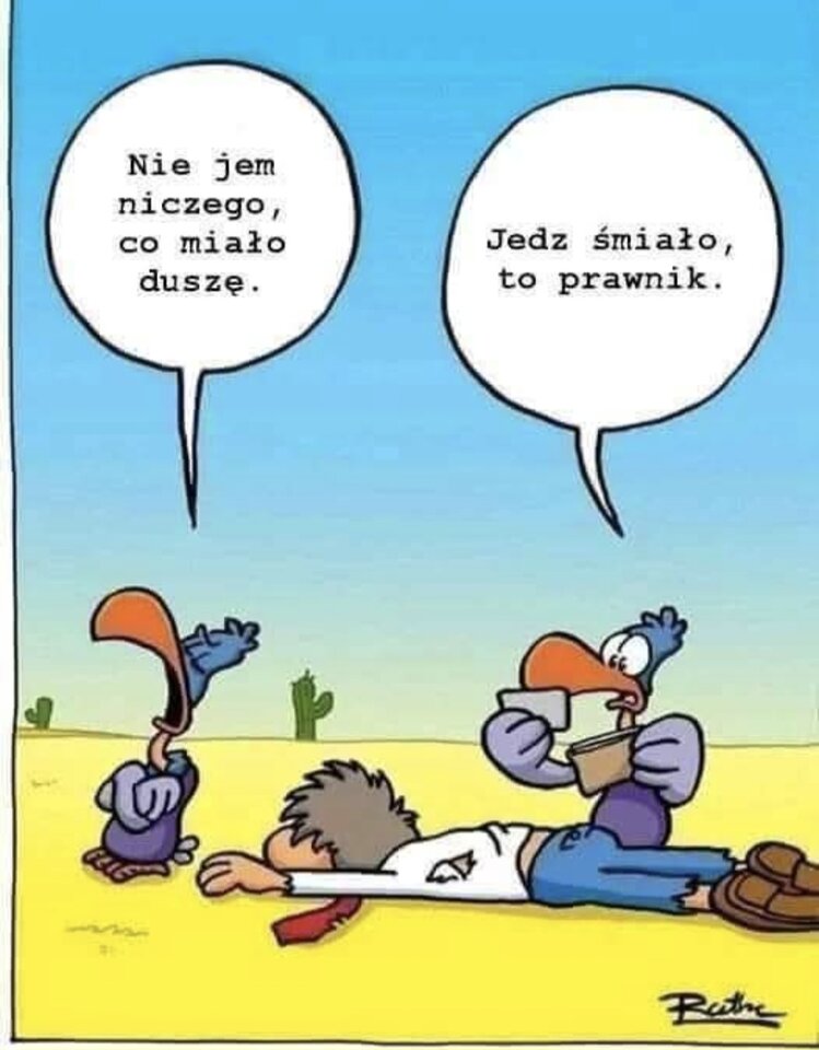 1000020357.jpg - Miniek234