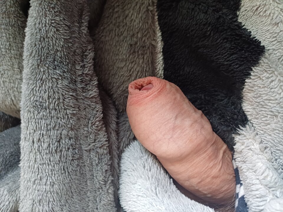 1000005835.jpg - andzik974