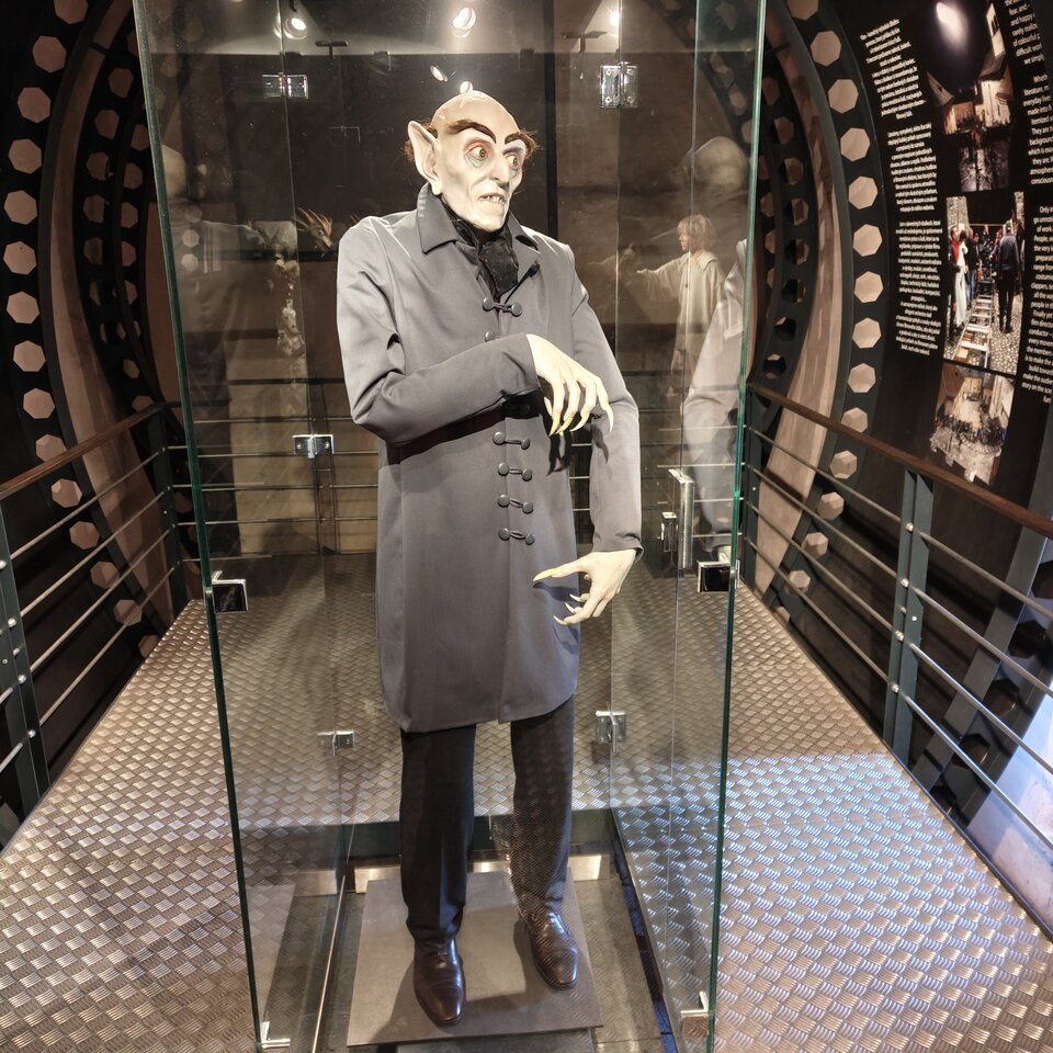 1000009365.jpg - Marcerllo