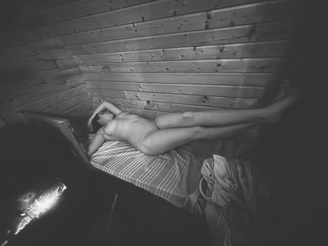 Lisica_i_Lew