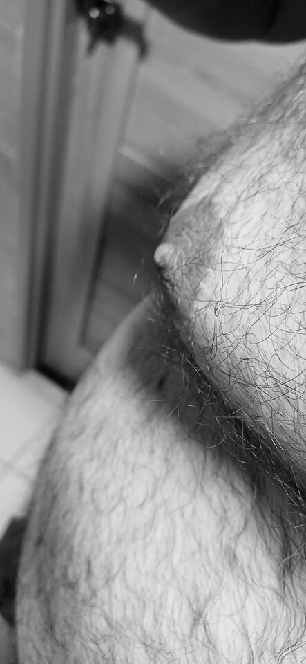 1000003153.jpg - PuszystyLubuskie