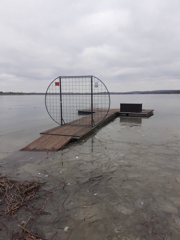 1000003225.jpg - sosnowieck