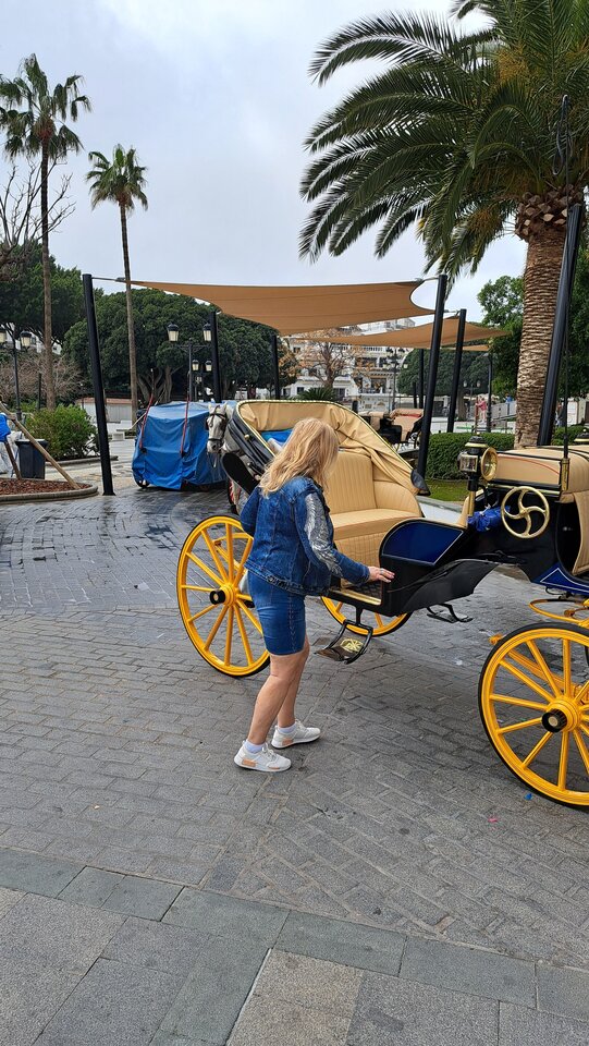 1000009202.jpg - oko_horusa_