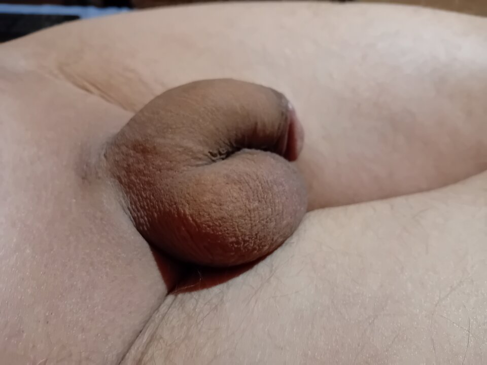 1000006853.jpg - brus13