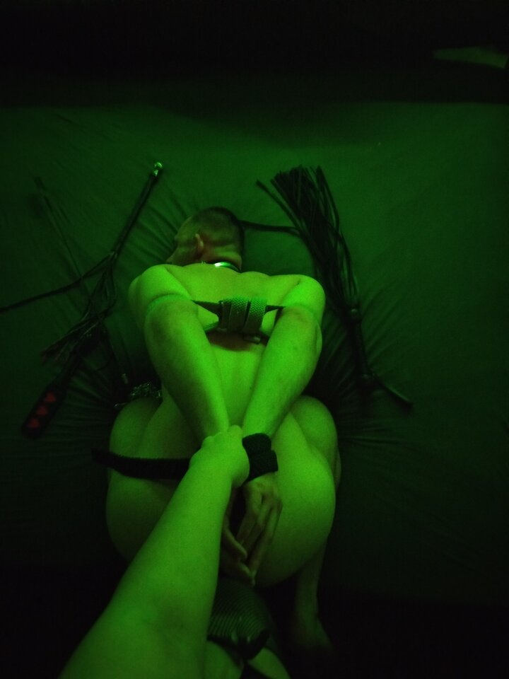 IMG_20250223_011622.jpg - NietoperzKlub