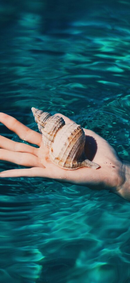 Biel-Morro-Unsplash-Wallpaper-1080x2340.jpg - Swoisami