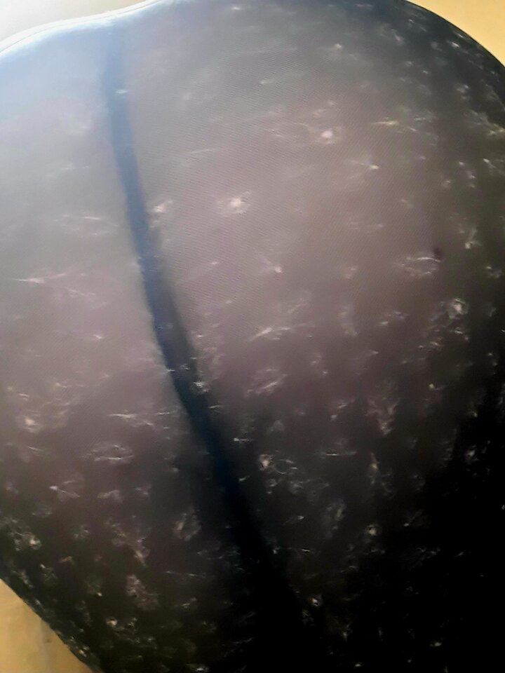 20250305_080113.jpg - CINEK7788