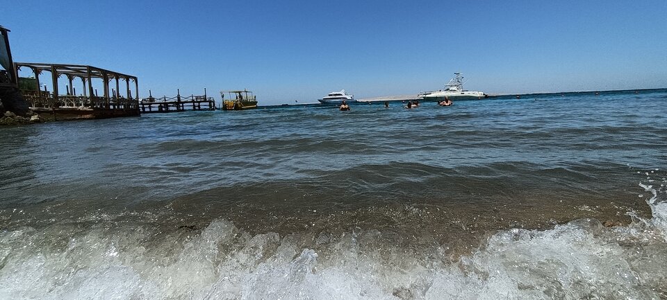 IMG20220714124206.jpg - Swoisami