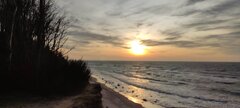 IMG_20250305_170154.jpg