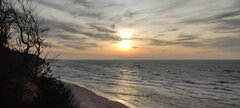 IMG_20250305_164817.jpg